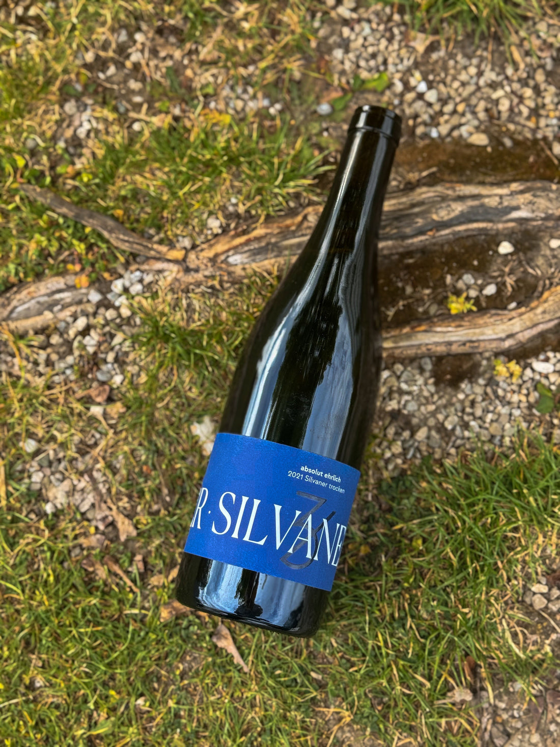#2 Verkostung | 2021 Silvaner - Weinmanufaktur DreiZeilen