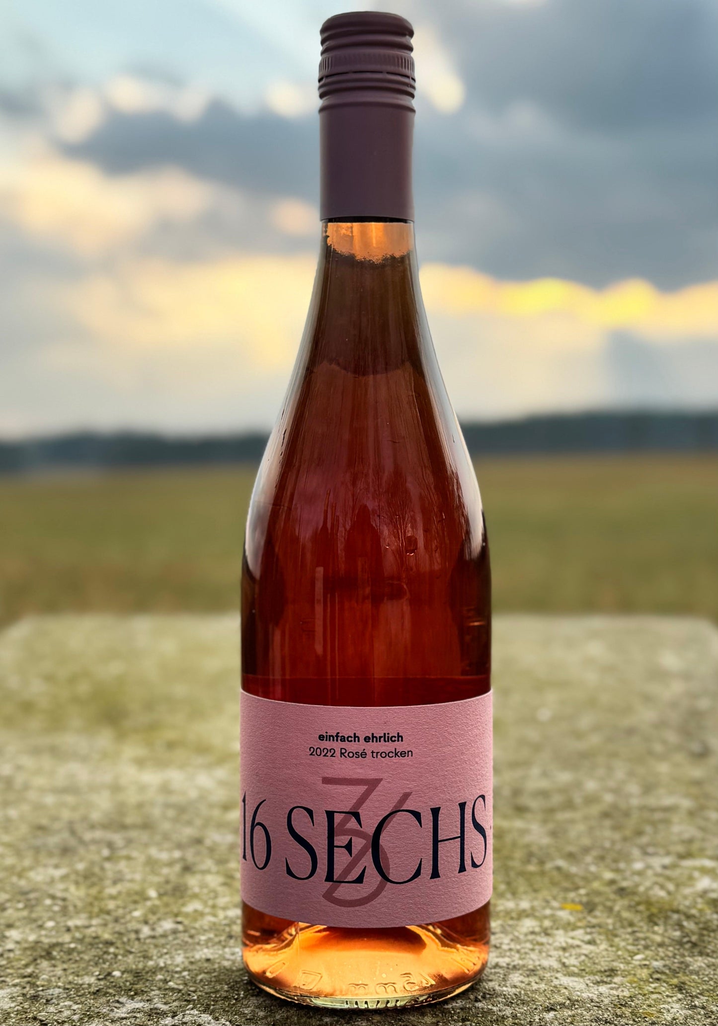 16 SECHS ROSÉ